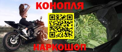 стаф Шахты