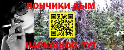 прущие грибы Шелехов