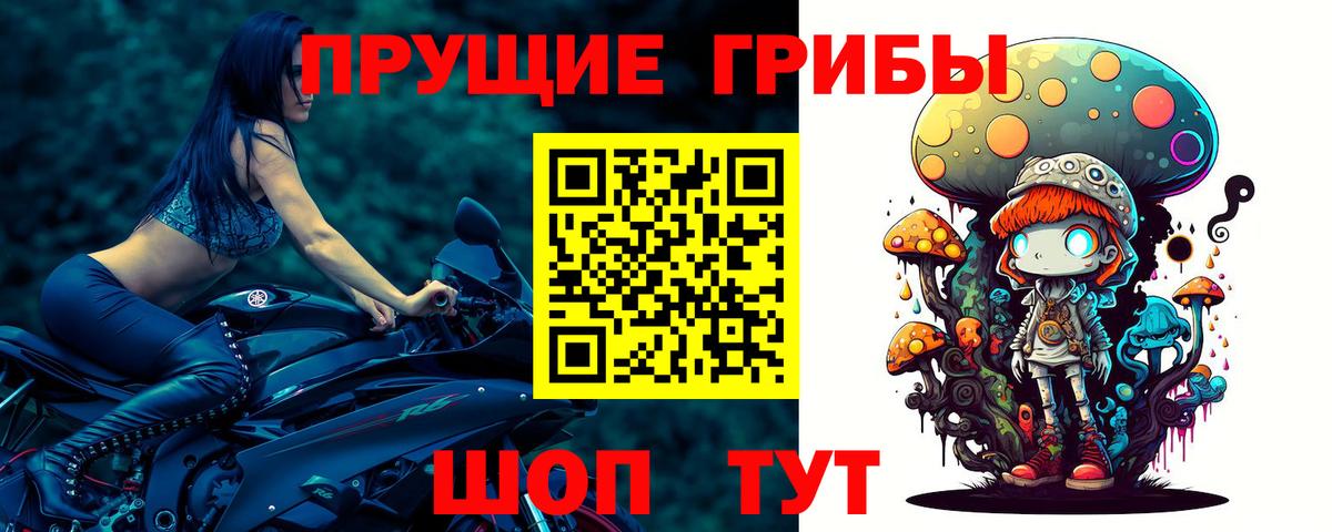 Псилоцибиновые грибы MAGIC MUSHROOMS Гагарин